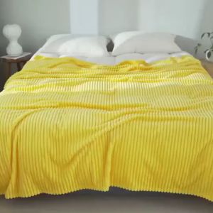 ( XẢ KHO ) Chăn Mền Nhung Tăm Cao Cấp kích thước 2mx23m