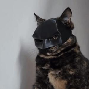 Batman Decorative Half-Face Pet Mask Cat Helmet Stylish Pet Costume Accessory for Cats