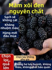 Táo Tươi Khô Không Đường Không Chất Bảo Quản