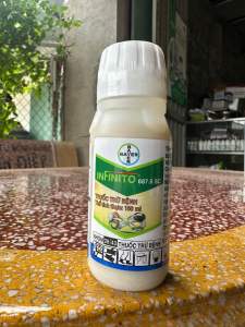 Thuốc trừ Sương mai dưa chuột dưa leo INFINITO 687.5 SC 100ml