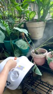 Pest Gone Citronella-Based Non-Toxic Mosquito & Fly Killer Fogging Solution for Garden and Large Areas