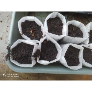 Eco bag for germinating seeds. 10 pcs