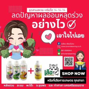 แนะนำชุด ป้องกันหยุดกานหวุดร่วงของผลอ่อน 3 สหาย+14-14-14