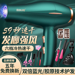Anion Hair Dryer High Power 3000 For Home 4000 Barber Shop for Hair Salon 6000 Oversized 5000