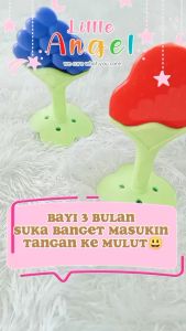 Baby Teether Bentuk Buah: Mainan Gigitan Bayi BPA FREE