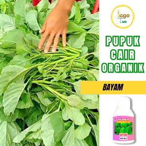 Pupuk Bayam Pelebat Dan Penyubur Daun Bayam Percepat Masa Tumbuh Organik By Jagotani Yogyakarta