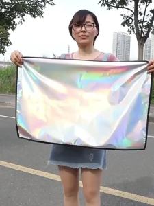 2025 Magnetic Car Sunshade UV Protection Curtain Sun Shield Cover Titanium Silver Opaque Car Sun Shades Summer Sun Protection