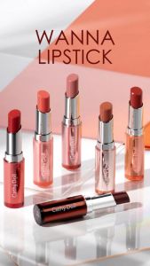 Son Thỏi Dưỡng Có Màu Sắc Bóng Và Mịn Môi Cathy Doll Wanna Shine Lipstick 3g