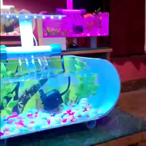 LAMMPU AQUARIUM MINI SIZE 18 CM SOLITER IKAN KECIL