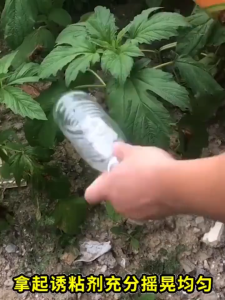 24H shipping ใช้1ครั้ง ฆ่าแมลงวันได้100000ตัว สารล่อแมลงวันทอง เมทิลยูจินอล สเปรย์กาว 450ml ดักจับแมลงวันทอง กับดักแมลงวันทอง