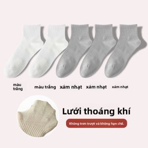 JIAZINI | Vớ Crew Cotton Thoáng Khí