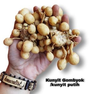 KUNYIT PUTIH SEGAR 1KG