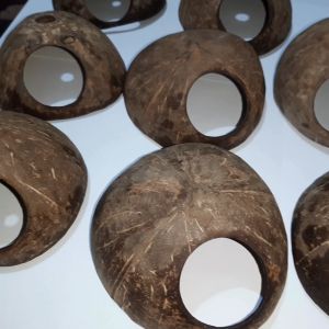 Coconut Shell House for Hamsters