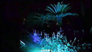 10000W Solar Light Outdoor Waterproof RGB Solar Lights Colorful Outdoor Lights Solar with Remote Control Solar Garden Lights Decorative Lights Christmas Lights