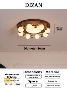 DIZAN | Vintage Designer Modern Simple Ceiling Light