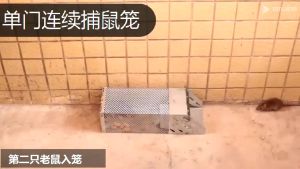 RAT CAGE001: Live Rodent Catcher Mice Pest Control Reusable Metal Mouse Trap Rat Cage Killer Home Supplies