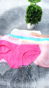 Set 10 Quần Lót Nữ thá¡ Cotton Cao Cấp (8045) Size 50-78 Kg Vải Co Giãn Tốt Thoáng Mát - Shop Kim Yến