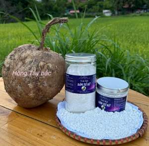 Sâm Tố Nữ Nguyên Chất ( Miếng Khô Và Bột Tiện Dụng )