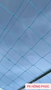 Lưới giàn leo lưới làm giàn mướp bầu bí làm giàn cho cây dây leo màu XANH TRẮNG (nhiều kích thước) tặng kèm dây buộc