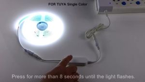 Tuya Smart LED Controller Wifi RGB/Single Color Light Strip Controler Wireless Remote for 12V 24V Led Ribbon Neon Light Tape