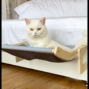 HATELI Cat Perch for Window Sill Orthopedic Hammock Design with Premium Hardwood & Robust Metal Frame Cat Window Seat Bed for Large Cats and Kittens Cats Hammock