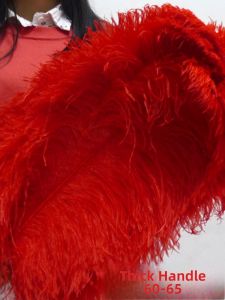 Wide Feathers 60-65cm Carnival Samba Dance Mermaid Wedding Decorations Accessories Fashionable DIY Craft Supplies New Condition