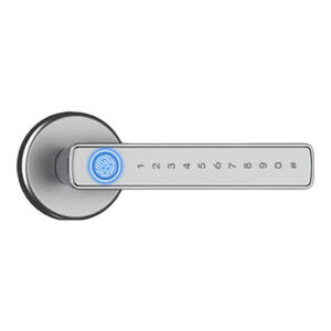 FALEISTON | Fingerprint Electronic Smart Lock for Wooden Doors