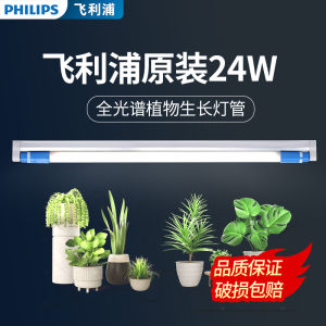 Philips Full Spectrum LED Plant Growth Light Home Use Succulent Supplement Light Coloring Light Sunlight Simulation