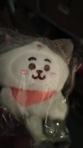 Line Friends | Đồ Chơi Nhồi Bông BT21 Anime Cooky Tata Móc Khóa Ba Lô Thời Trang Y2K Quà Tặng Hoạt Hình Sáng Tạo Dành Cho Bạn Bè (nam/nữ)