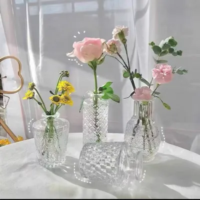 Retro Glass Hydroponic Transparent Dried Flower Flower Vase Desktop Hydroponic Flower Decoration Ornaments Home Decor