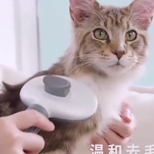 🔥Fast Delivery🔥Cat Comb Pet Comb Fur Removal Dog Comb Grooming Hair Sikat Kucing Brush Deshedding Berus Bulu Kucing