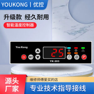 Automatic Electronic Display Refrigerator Temperature Controller YOUKONG Industrial Grade Cold Storage Cabinet Thermometer