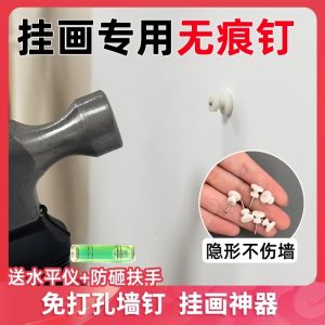 Invisible Wall Hooks for Hanging Pictures Wedding Photos Frames without Trace White Grey Wall Nails Picture Hanging Hooks