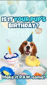 FOFOS Birthday Set Dog Toys Milkshake Balloon Cake Hat Dog Toy Pet Toy