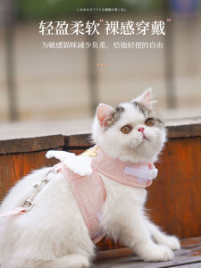 Cat Pink Hand Holding Rope & Cat Anti-Wandering Chest Strap: A Comprehensive Guide