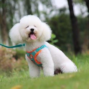 Dog Harness Dog Leash Dog harness with leash Adjustable Outdoor Pet vest Harness