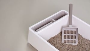 LF fole livet Cat Litter Antibacterial Fast water Absorption Mixed 99% soar Cat Litter tofu+1% lemon deodorant dust-free Pasir Kucing wang 猫砂