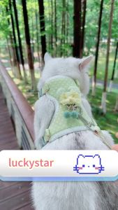 Tali Harness Kucing Rompi & Tali Harness Cat Baju Kucing Polos