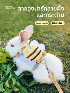 VOA | Escape-proof Rabbit Leash