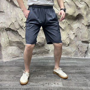 Nordic High End Outdoor Quick Dry Breathable Sports Running Casual Workwear Shorts Youth Summer Fashion Straight Leg Trousers