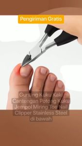 {\n \"article\": \" DFANCCIE Gunting Kuku Mini Lancip & Clipper Edge
