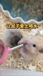 【READY-STOCK】Hamster Water Drinking Bottle 80/125/250ml Stainless Steel Small Pet Drip Proof Water Bottle 小宠物水瓶 仓鼠饮水器 仓鼠饮水支架