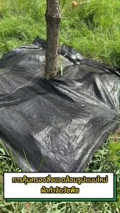 ขนาดใหญ่3x100m.3x50m.2x50m.2x100m.1x100m.1x50m ผ้ากันวัชพืช ผ้ากำจัดวัชพืช ระบายอากาศและน้ำซึมผ่านได้