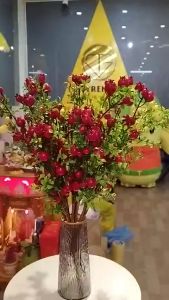 Cành Lựu Phú Quý Thu Hút Tài Lộc 6 Nhánh 18 Trái Hàng Nhập Khẩu Cắm Bình Hoa Trang Trí Decor Trùm Sỉ Gia Thành