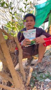 【ซื้อ 3 แถม 1】รากไม้เน่า500g ยาฆ่าต้นไม้ใหญ สร้างมาเพื่อฤดูฝน ยาฆ่าตอต้นไม้ แค่โรยเพียงเล็กน้อย กำจัดวัชพืชเปิดที่รกราง ต้นไม้ใหญ่ไม้ไผ่ ยากำจัดต้น สารกำจัดกอไผ่ กำจัดต้นไม้