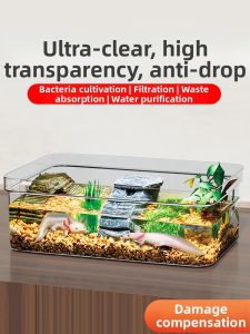 Salamander Breeding Tank Rectangular Eco-friendly Acrylic