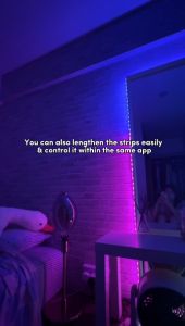[ADD BRIGHT WHITE] Prolink DS-3602 24V smart Wi-Fi LED Strip Light 5m/2m - [Cove lighting/ RGBIC + Multicolor + Cuttable / Voice Control/ mEzee app]