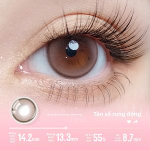 LaPeche | Mắt Kính Dán Một Lần Sử Dụng Cao Bóng 10 Cái