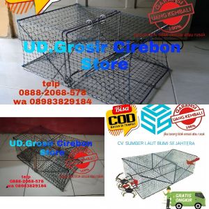 50 PCS PERANGKAP JARING BUBU PINTUR BADONG UKURAN 43X28X16 kawat 3.4 mm PAKET MURAH