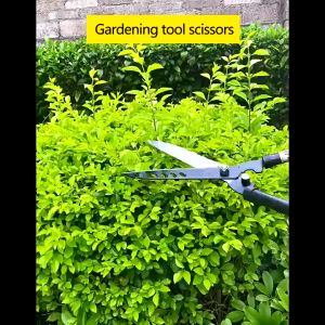 Lawn scissors Fence scissors Garden scissors Pruning scissors Garden scissors lawn pruning scissors garden tools